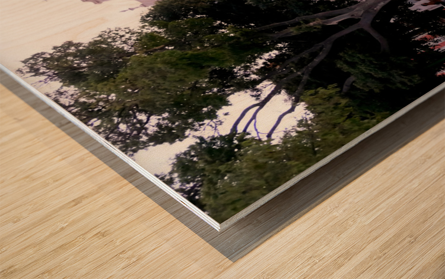 Lisbon Water Fountain 2 Wood print