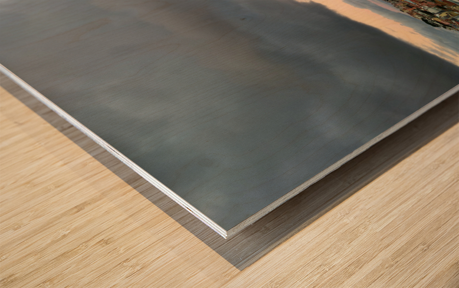 Lisbon Landscape 2B Wood print