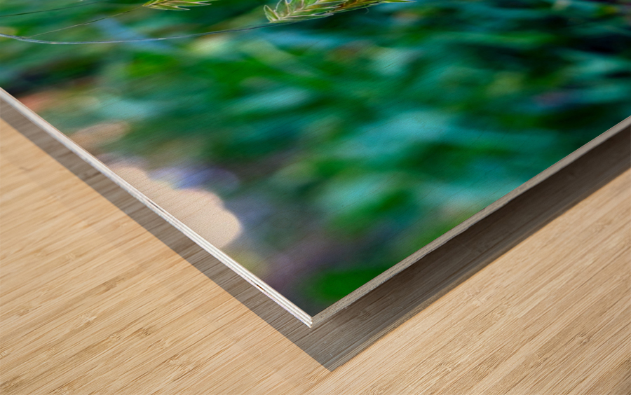 Silent Green Wind Chimes 2 Wood print