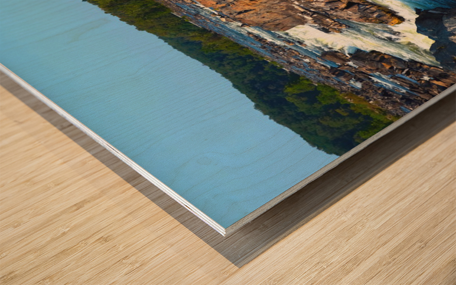 Great Falls Park 3 Wood print