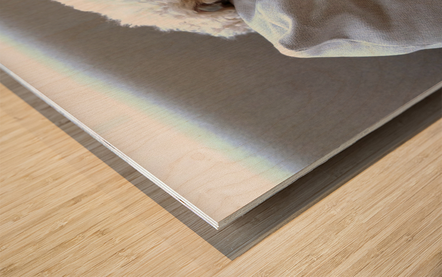 Not Pouting Pooch Wood print