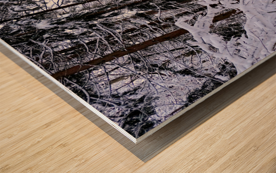 Winterscape Wood print