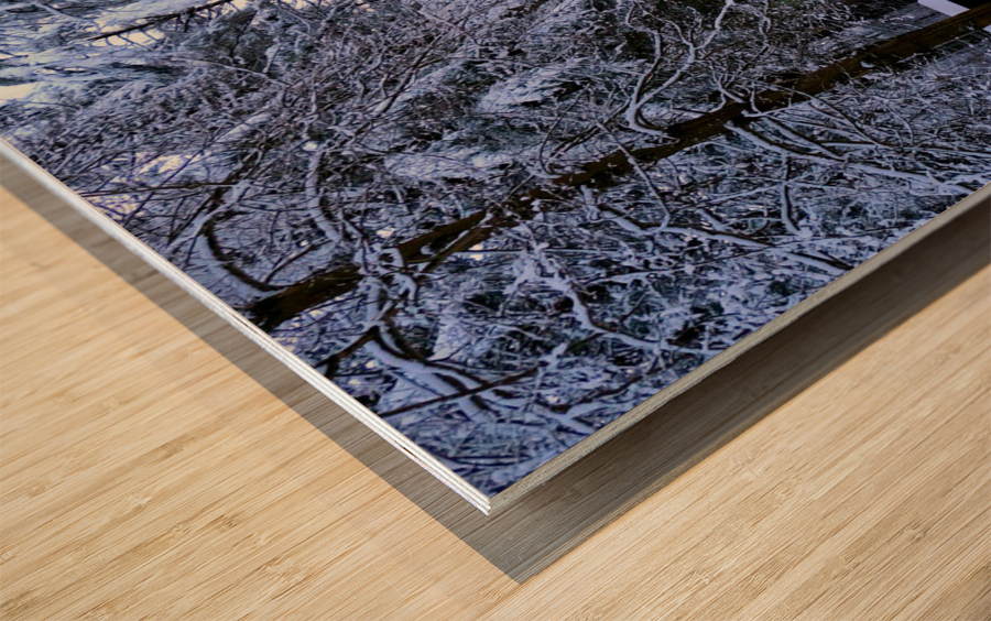 Winter Wonderland 2 Wood print