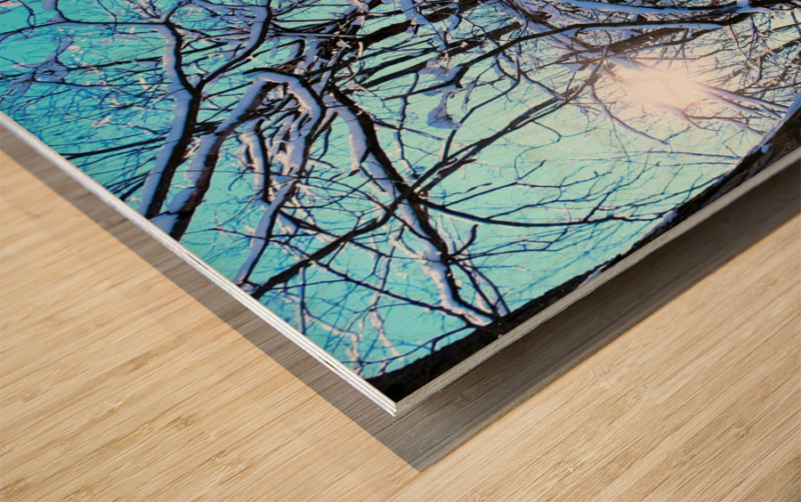 Frozen Limbs 3 Wood print