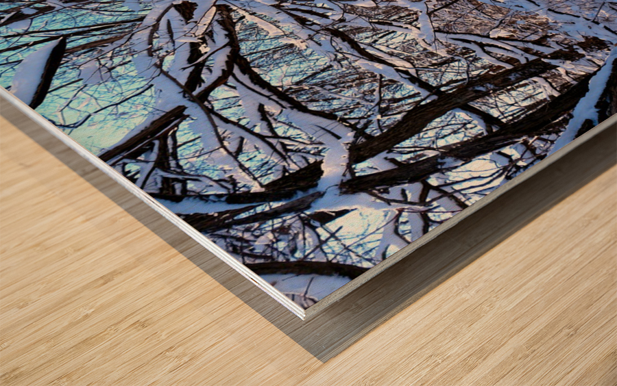 Frozen Limbs 2B Wood print