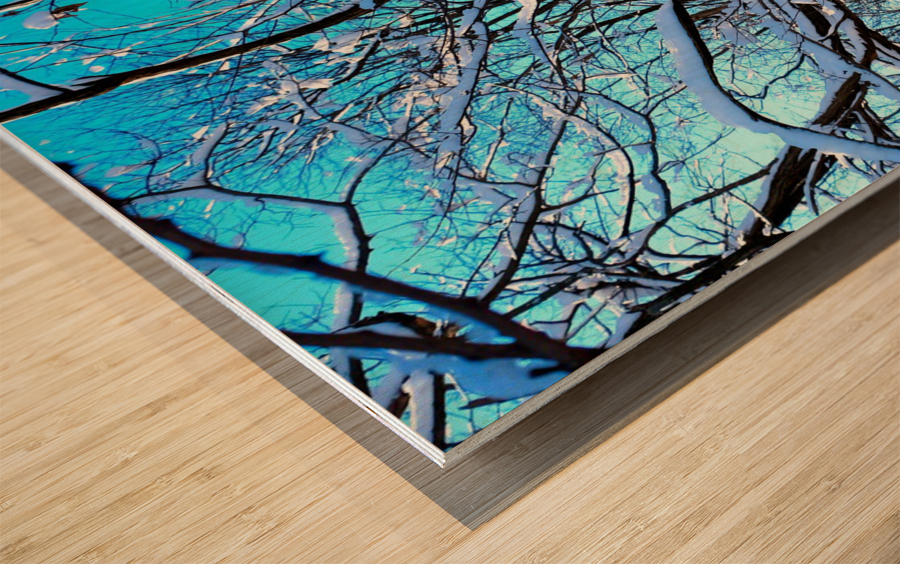 Frozen Limbs 3B Wood print