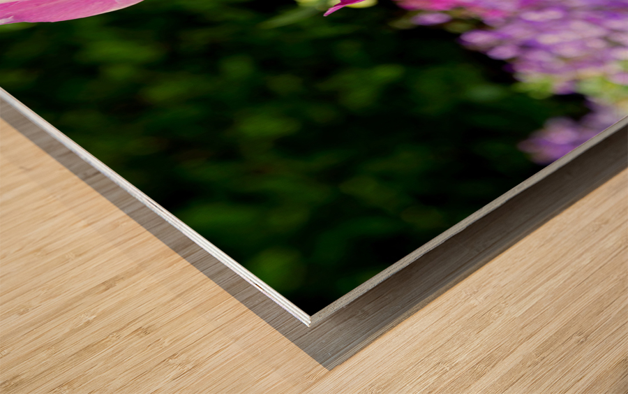 Tulips Are Better Than One 3 Impression sur bois