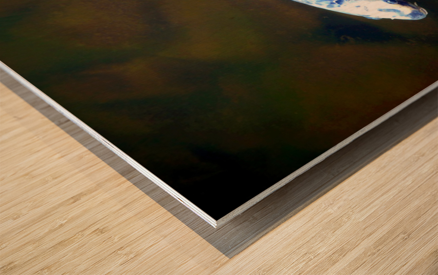 An American Koi Story Impression sur bois