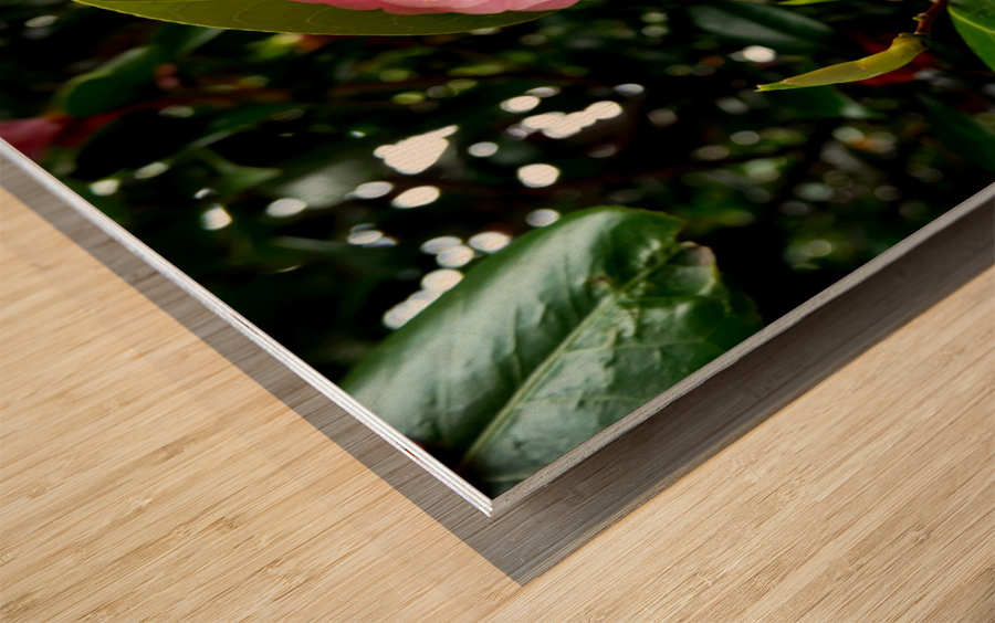 Blooms of Joy 1B Wood print