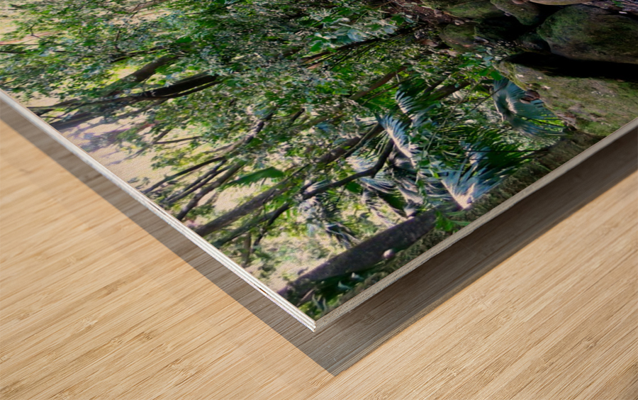 Hiking Hawaii Water Flow B Impression sur bois