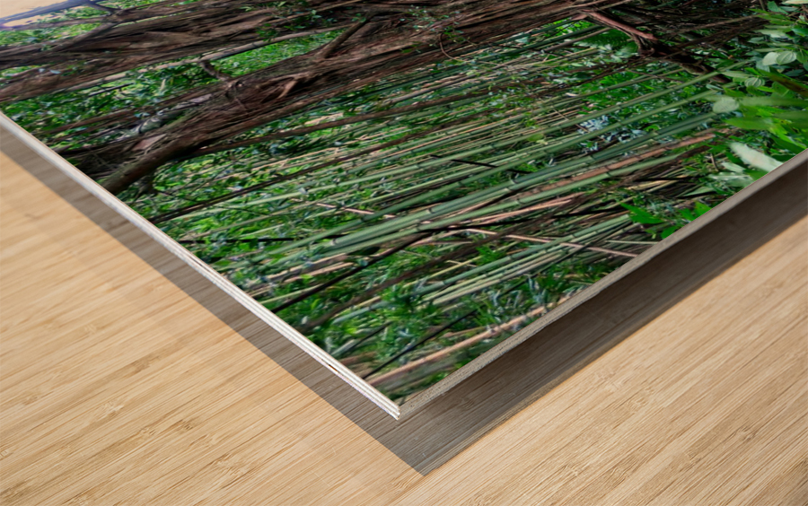 Welcome to the Jungle  Wood print