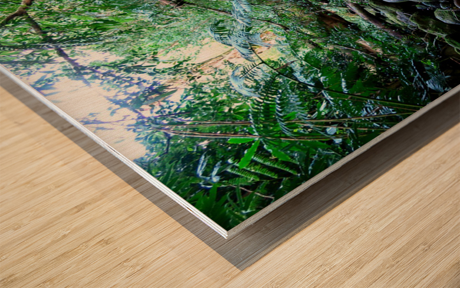 Hiking Hawaii Water Flow Wood print