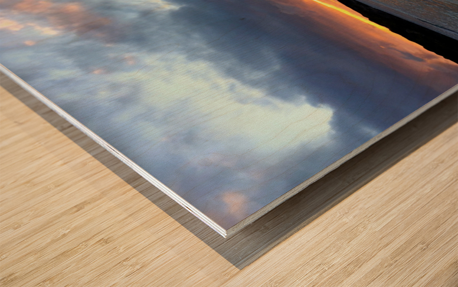 Paradise Found Wood print