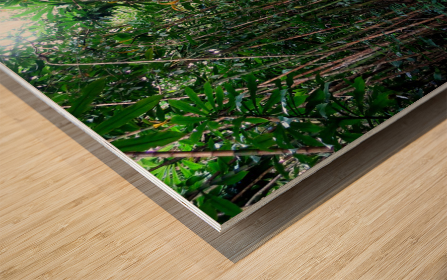 Hiking Hawaii Wood print