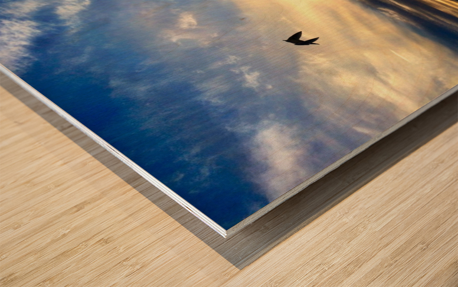 Flying Over the Edgewater Wood print