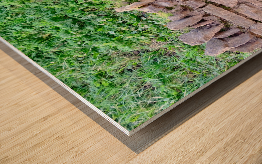 Barbed Stone Wall 2 Wood print