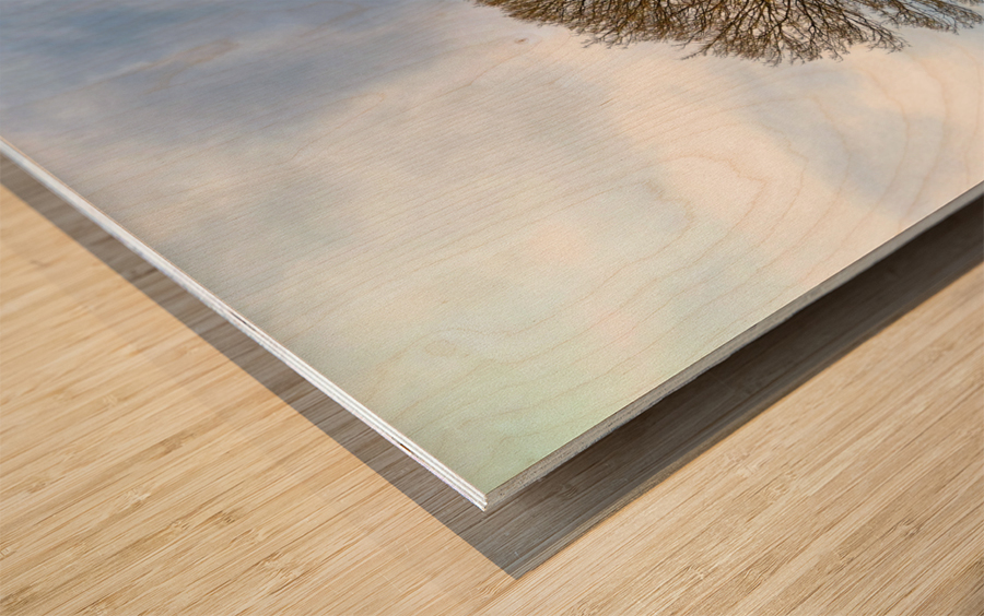 Standing Guard Wood print