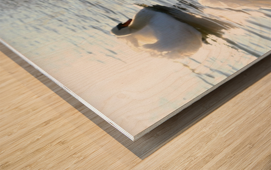 Behind Wings of Love 1A Wood print