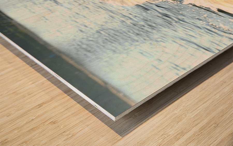 Wings of Love Pair 1A Impression sur bois