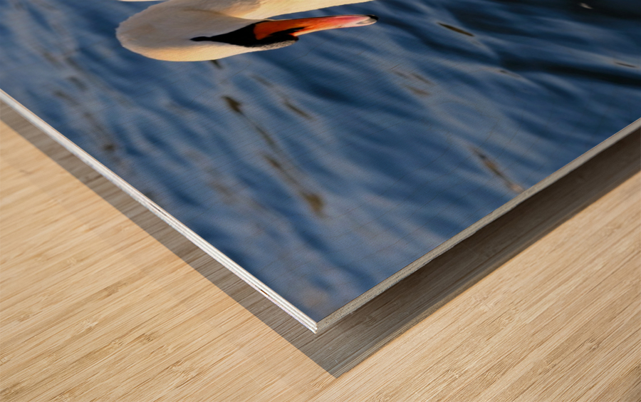 Wings of Love 1A Wood print