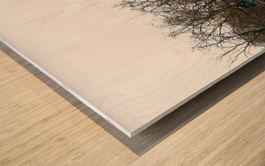 Horsehead Sculpture 3 Wood print