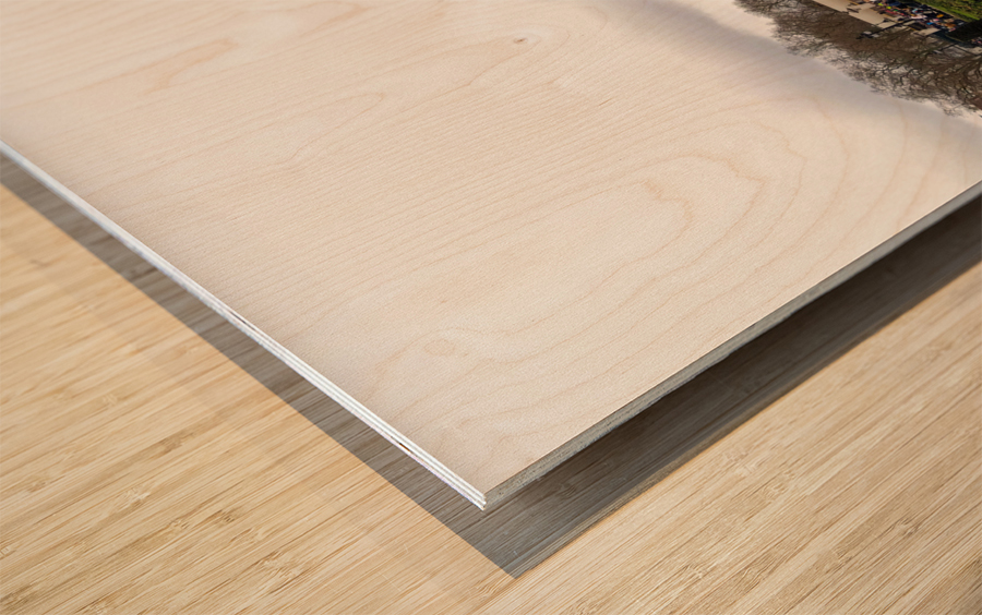 Buckingham Palace Wood print