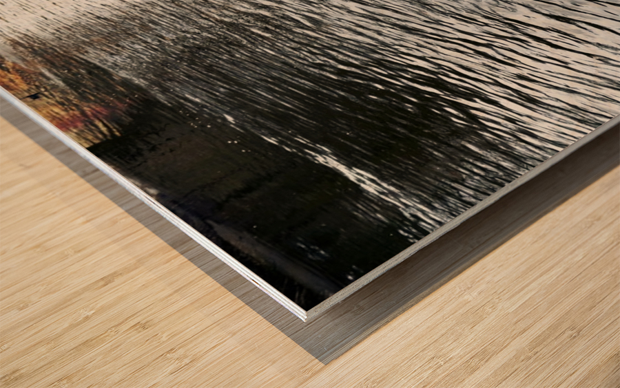 Ducking a Black Swan Moment Impression sur bois