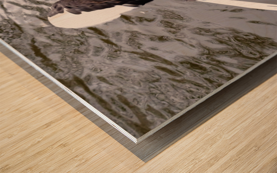 A Black Swan Moment 2 Wood print