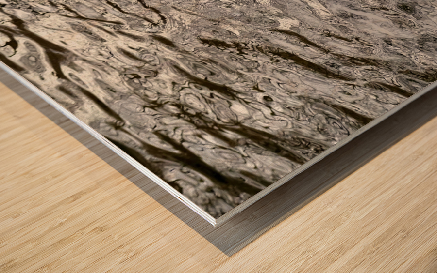 Only The Lonely Loon 1B Wood print