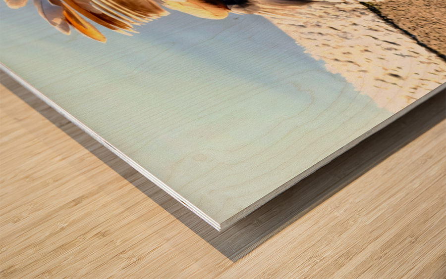 No Selfies Please  Wood print