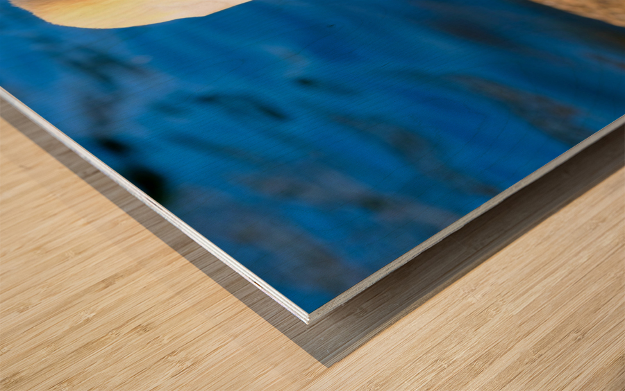 Swan Face 3 Impression sur bois