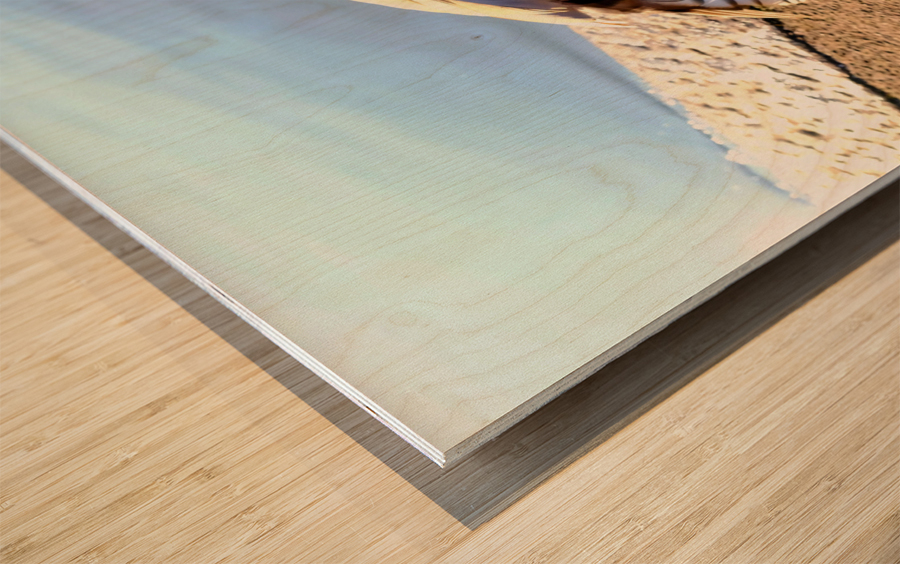 Duck Pose Impression sur bois