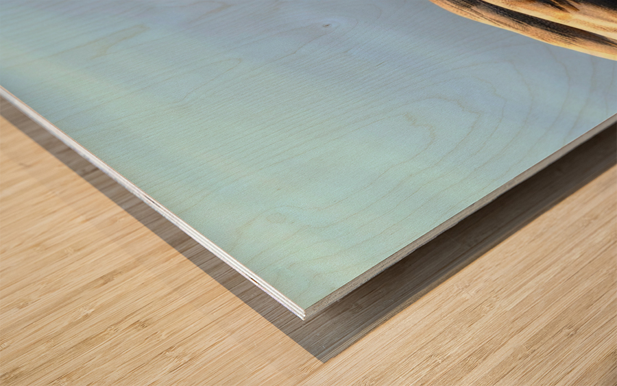 Duck Face Wood print