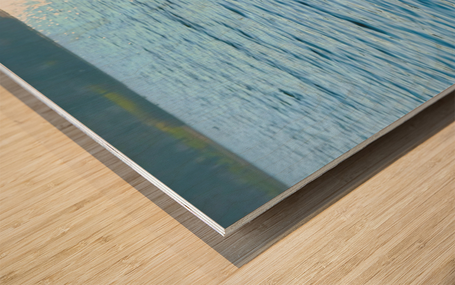 Behind Wings of Love 2B Wood print