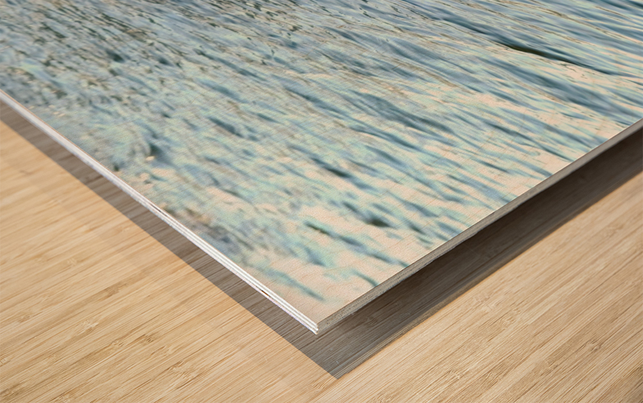 Silent Drift Wood print