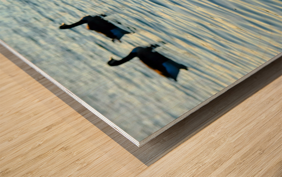 Behind Wings of Love Wood print