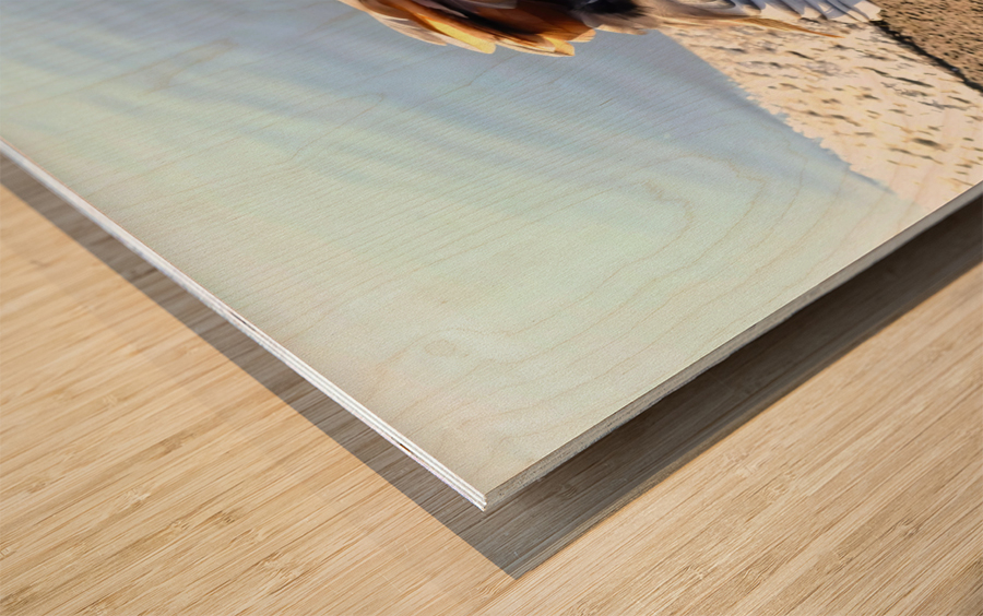 Graceful Pause Impression sur bois