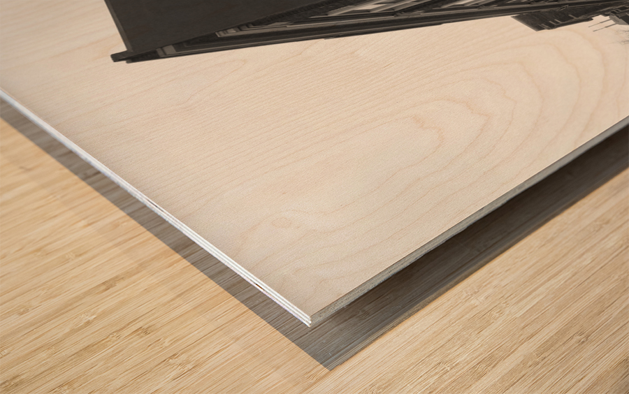 Legacy in Light and Shadow: Mari Evans Wood print