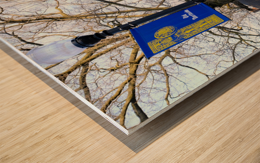 The End of Old North Side  Wood print