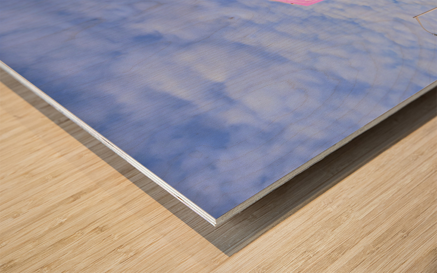 Flatiron Corner Glow Wood print