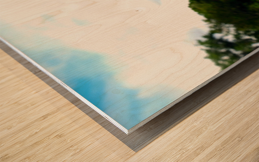  Offering of the Wild Wood print