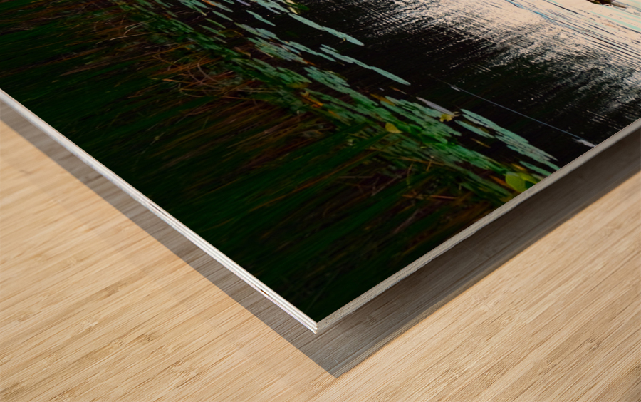 Silent Glide Impression sur bois