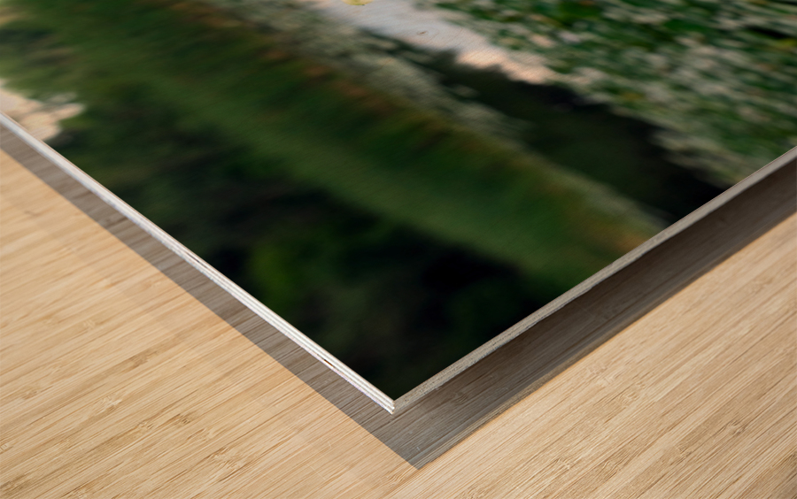 Lifting Beauty Impression sur bois