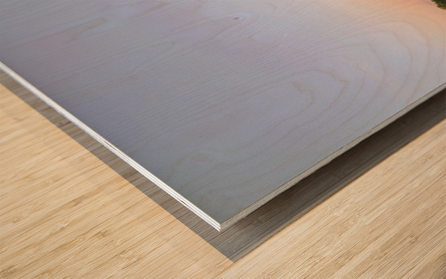 Balloon Over Long Lake Wood print