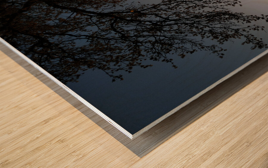 Golden Michigan Sunrise Wood print