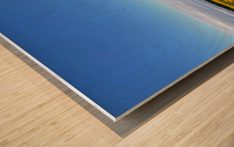 Fields of Joy Wood print