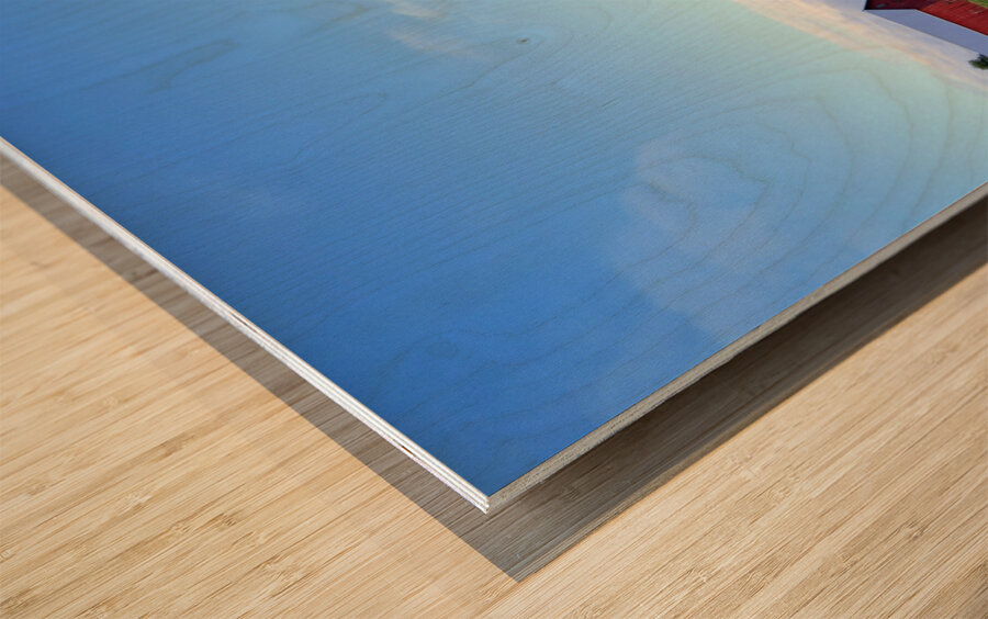 Golden Silence Wood print