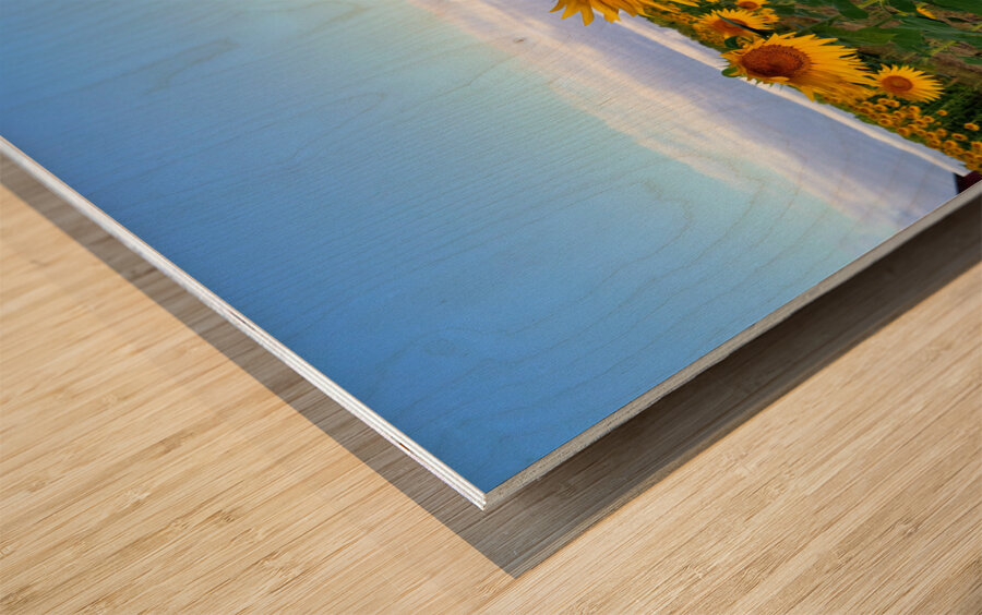 A Golden Gaze Wood print