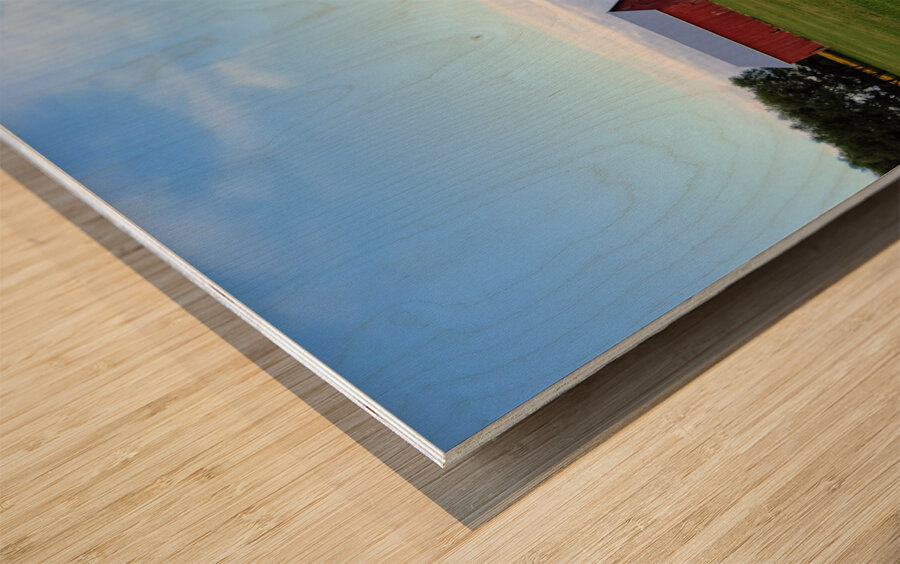 Raising Sunshine Sunflower Farm Wood print