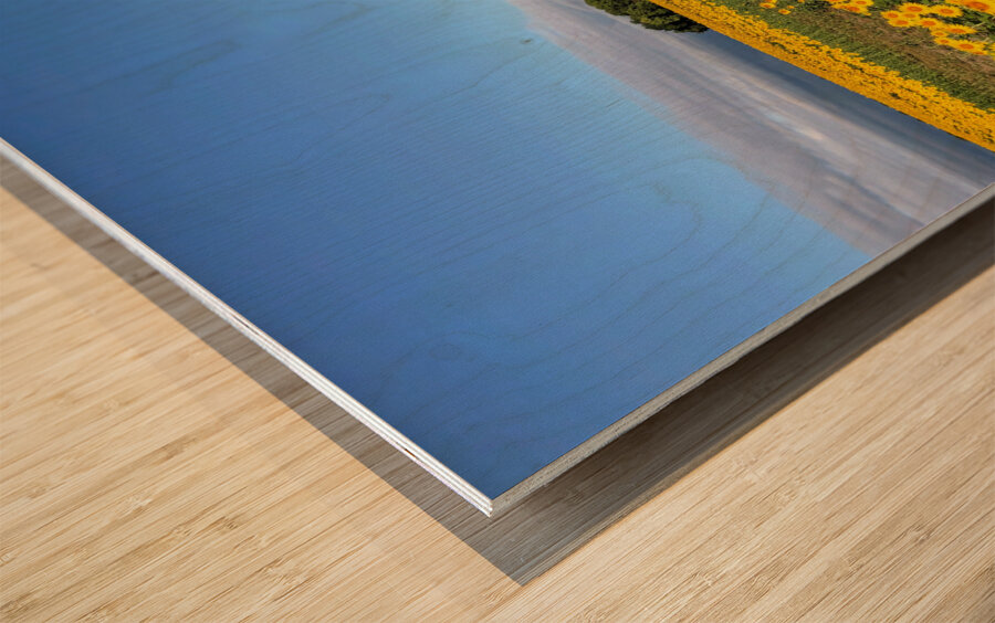 A Sea of Golden Dreams Impression sur bois